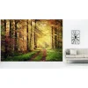 Hot Scenolia Papier peint intissé AUTOMNAL forêt orangée 400 x 270 cm (LxH) - Tapisserie murale panoramique XXL, Made in France par
