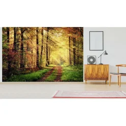 Hot Scenolia Papier peint intissé AUTOMNAL forêt orangée 400 x 270 cm (LxH) - Tapisserie murale panoramique XXL, Made in France par