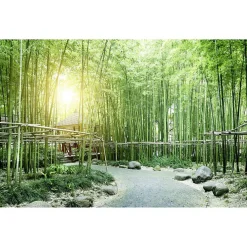 Discount Scenolia Papier peint intissé BAMBOUS VERTS zen 400 x 270 cm (LxH) - Tapisserie murale panoramique XXL, Made in France par