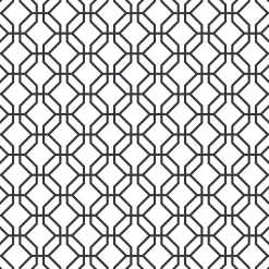 Hot Lutece Papier peint intissé Jardin Secret mat et satiné hexagone blanc, noir l.1000 x l.53 cm