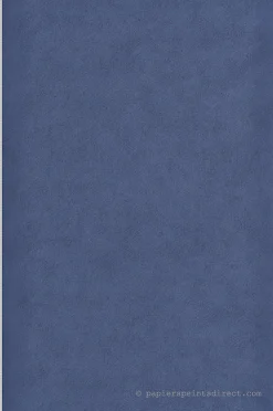 New Lutèce Papier peint intissé Uni L.10.05 x l.0.53 m. - Réf. LTC-11202311