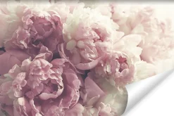 Outlet Muralo Papier Peint Photo Intissé FLEURS Pivoines Roses Pour La Chambre 450cm x 300cm
