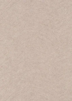 Best Erismann Papier peint vinyle intissé uni beige L.1005 x l.53cm, Flair