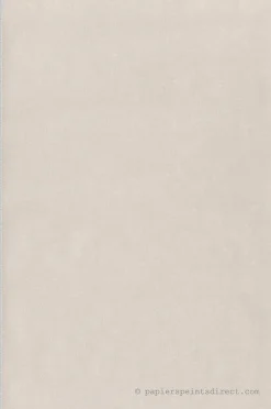 Lutèce Papier peint vinyle sur intissé Uni L.10.05 x l.0.53 m. - Réf. LTC-51201206* Papier Peint Uni