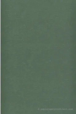 Lutèce Papier peint vinyle sur intissé Uni L.10.05 x l.0.53 m. - Réf. LTC-51201214* Papier Peint Uni