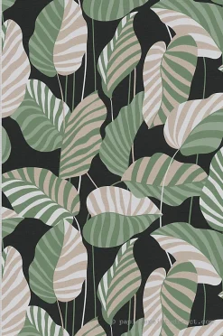 A.S. Creation Papier peint vinyle sur intissé Jungle L.10.05 x l.0.53 m. - Réf. SP15944* Papier Peint Pour Salle De Bains|Papier Peint Naturel Et Tropical