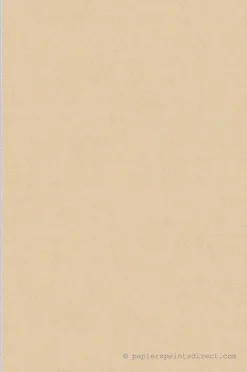 Hot A.S. Creation Papier peint vinyle sur intissé Uni L.10.05 x l.0.53 m. - Réf. AS-353160