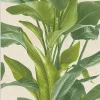 Discount A.S. Creation Papier peint vinyle sur intissé Nature L.10.05 x l.0.53 m. - Réf. SP15498