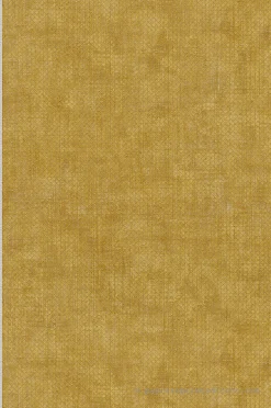 A.S. Creation Papier peint vinyle sur intissé Contemporain L.10.05 x l.0.53 m. - Réf. AS-388265* Papier Peint Vintage