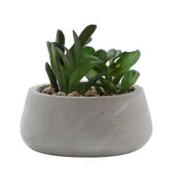 Outlet Ornami Plante artificielle en pot effet béton H.12cm