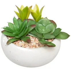 Sale Atmosphera Créateur D'Intérieur Plante grasse artificielle - pot en ciment - H10 cm - Noir- Atmosphera