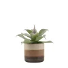 Clearance Ornami Plante grasse artificielle pot céramique rayé 12cm