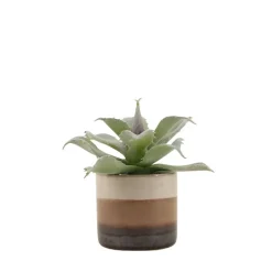 Clearance Ornami Plante grasse artificielle pot céramique rayé 12cm