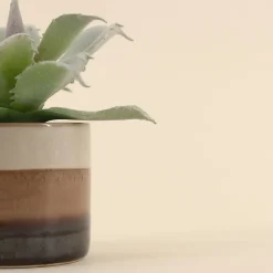 Clearance Ornami Plante grasse artificielle pot céramique rayé 12cm