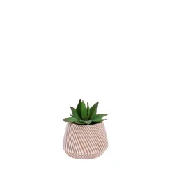 Hot Ornami Plante grasse artificielle pot en céramique 13x10cm