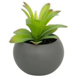 Sale Atmosphera Créateur D'Intérieur Plante grasse en pot H13- Gris- Atmosphera