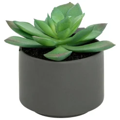 Sale Atmosphera Créateur D'Intérieur Plante grasse en pot H13- Gris- Atmosphera