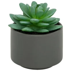 Sale Atmosphera Créateur D'Intérieur Plante grasse en pot H13- Gris- Atmosphera