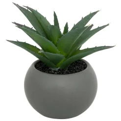 Sale Atmosphera Créateur D'Intérieur Plante grasse en pot H13- Gris- Atmosphera