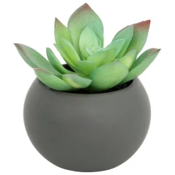 Sale Atmosphera Créateur D'Intérieur Plante grasse en pot H13- Gris- Atmosphera