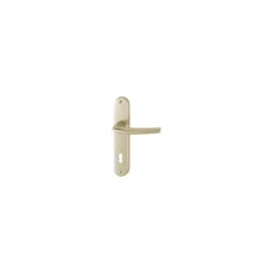 Hoppe Poignée de porte d'entrée - San diego - Et Cie - Gris argent - Clé I - 165 mm* Poignée De Porte Intérieure