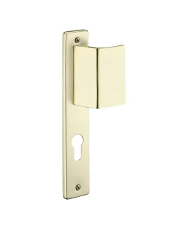 Thirard Poignée pour porte d'entrée palière renforcée Picardie trou de cylindre, carré 7mm, entr'axes 195mm, couleur champagne -* Poignée Sur Plaque|Poignée De Porte Intérieure