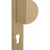 Discount Thirard Poignée Targa A2P pour porte palière, réversible, or -