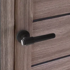 Discount Secury-T Poignées de porte sur rosace ronde noir mat industriel - Modèle Ema
