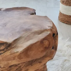 Wanda Collection Pouf en racine de teck massif,
