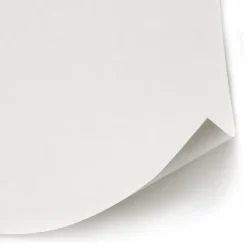 Online Diall Revêment de rénovation sur intissé blanc 50m 120g/m²