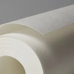 Online Diall Revêment de rénovation sur intissé blanc 50m 120g/m²