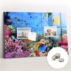 Wallfluent Tableau Aimanté Tulup 60x40 cm La vie sous-marine En Verre Pour Cuisine* Pêle-Mêle Et Pense Bête