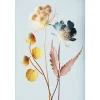 Best Ceanothe Tableau sur toile fleur colorée 30x45 cm Fabriqué en France