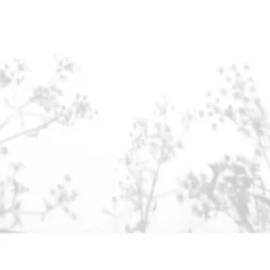 Clearance Scenolia Tableau toile en kit ANETH DOUX 180 x 130 cm - Toile textile sans PVC, Made in France par
