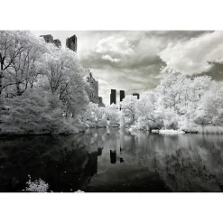 New Scenolia Tableau toile en kit CENTRAL PARK NB 180 x 130 cm - Toile textile sans PVC, Made in France par