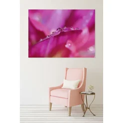 Best Scenolia Tableau toile en kit OFFRANDE fleur rose macro 180 x 130 cm - Toile textile sans PVC, Made in France par