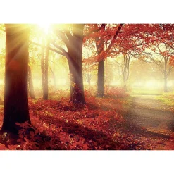 Scenolia Tableau toile en kit SOLEIL D'AUTOMNE 180 x 130 cm - Toile textile sans PVC, Made in France par* Image Encadrée