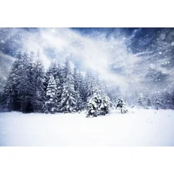 Scenolia Tableau toile en kit SOUS LA NEIGE 140 x 95 cm - Toile textile sans PVC, Made in France par* Image Encadrée