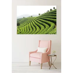 Scenolia Tableau toile en kit THÉ VERT 180 x 130 cm - Toile textile sans PVC, Made in France par* Image Encadrée