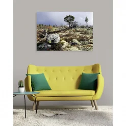 Discount Scenolia Tableau toile XXL en kit In Wild 130 x 90 cm - Toile textile sans PVC