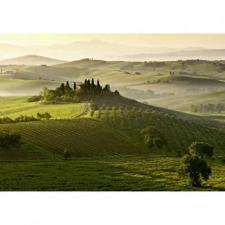 Best Scenolia Tableau toile XXL en kit San Quirico 90 x 60 cm - Toile textile sans PVC