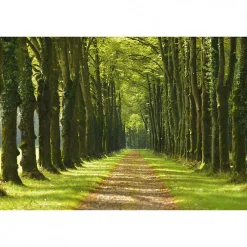 Scenolia Tableau toile XXL en kit Un Dimanche À La Campagne 60 x 40 cm - Toile textile sans PVC* Image Encadrée