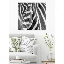 Scenolia Tableau toile XXL en kit Zebre 90 x 90 cm - Toile textile sans PVC
