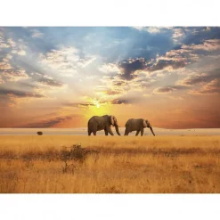 Scenolia Tableau toile XXL en kit Savane Africaine 180 x 130 cm - Toile textile sans PVC* Image Encadrée