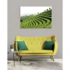 Hot Scenolia Tableau toile XXL en kit Thé Vert 130 x 90 cm - Toile textile sans PVC