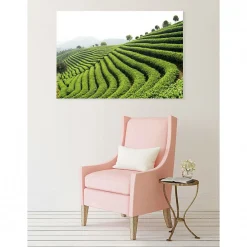 Hot Scenolia Tableau toile XXL en kit Thé Vert 130 x 90 cm - Toile textile sans PVC