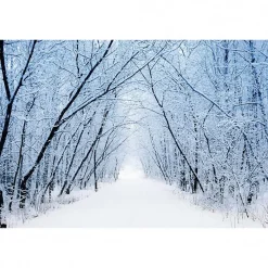 Sale Scenolia Tableau toile XXL en kit Chemin Blanc 60 x 40 cm - Toile textile sans PVC