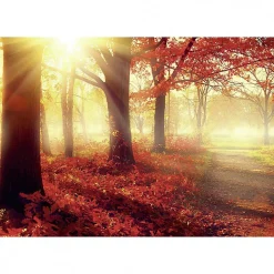 Scenolia Tableau toile XXL en kit Soleil D'Automne 130 x 90 cm - Toile textile sans PVC* Image Encadrée