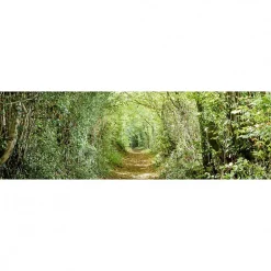 Sale Scenolia Tableau toile XXL en kit Chemin Vert 130 x 40 cm - Toile textile sans PVC