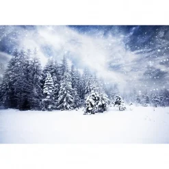 Outlet Scenolia Tableau toile XXL en kit Sous La Neige 60 x 40 cm - Toile textile sans PVC